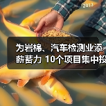 为岩棉、汽车检测业添薪蓄力 10个项目集中投入运行(图2) 为岩棉、汽车检测业添薪蓄力 10个项目集中投入运行(图2)