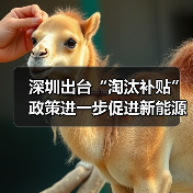 深圳出台“淘汰补贴”政策进一步促进新能源小汽车消费(图4) 深圳出台“淘汰补贴”政策进一步促进新能源小汽车消费(图4)