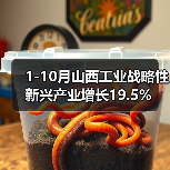 1-10月山西工业战略性新兴产业增长19.5%(图4) 1-10月山西工业战略性新兴产业增长19.5%(图4)