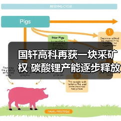 国轩高科再获一块采矿权 碳酸锂产能逐步释放(图4) 国轩高科再获一块采矿权 碳酸锂产能逐步释放(图4)
