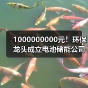 1000000000元!环保龙头成立电池储能公司(图4) 1000000000元!环保龙头成立电池储能公司(图4)
