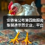 安徽省公布第四批服务型制造示范企业、平台名单(图2) 安徽省公布第四批服务型制造示范企业、平台名单(图2)