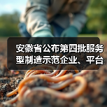 安徽省公布第四批服务型制造示范企业、平台名单(图3) 安徽省公布第四批服务型制造示范企业、平台名单(图3)