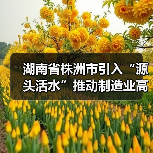 湖南省株洲市引入“源头活水”推动制造业高质量发展(图3) 湖南省株洲市引入“源头活水”推动制造业高质量发展(图3)