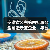 安徽省公布第四批服务型制造示范企业、平台名单(图1) 安徽省公布第四批服务型制造示范企业、平台名单(图1)