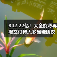 842.22亿!大全能源再爆签订特大多晶硅协议(图3) 842.22亿!大全能源再爆签订特大多晶硅协议(图3)
