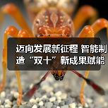 迈向发展新征程 智能制造“双十”新成果赋能行业蝶变（图3）