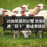 迈向发展新征程 智能制造“双十”新成果赋能行业蝶变（图2）