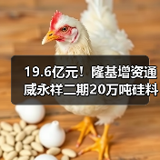 19.6亿元!隆基增资通威永祥二期20万吨硅料项目(图3) 19.6亿元!隆基增资通威永祥二期20万吨硅料项目(图3)