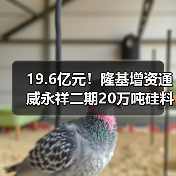 19.6亿元!隆基增资通威永祥二期20万吨硅料项目(图1) 19.6亿元!隆基增资通威永祥二期20万吨硅料项目(图1)