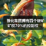 雅化集团拥有四个锂矿矿权70%的控制权(图4) 雅化集团拥有四个锂矿矿权70%的控制权(图4)
