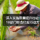 深入实施质量提升行动 18部门联合印发行动方案(图4) 深入实施质量提升行动 18部门联合印发行动方案(图4)