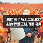 我国首个海上二氧化碳封存示范工程项目投用(图2) 我国首个海上二氧化碳封存示范工程项目投用(图2)