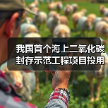 我国首个海上二氧化碳封存示范工程项目投用(图3) 我国首个海上二氧化碳封存示范工程项目投用(图3)
