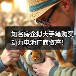 知名房企拟大手笔购买动力电池厂商资产!(图3) 知名房企拟大手笔购买动力电池厂商资产!(图3)