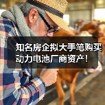 知名房企拟大手笔购买动力电池厂商资产!(图2) 知名房企拟大手笔购买动力电池厂商资产!(图2)
