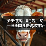关乎你我!6月起,又一批全国性新规将开始施行!(图1) 关乎你我!6月起,又一批全国性新规将开始施行!(图1)