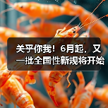 关乎你我!6月起,又一批全国性新规将开始施行!(图2) 关乎你我!6月起,又一批全国性新规将开始施行!(图2)