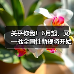 关乎你我!6月起,又一批全国性新规将开始施行!(图3) 关乎你我!6月起,又一批全国性新规将开始施行!(图3)