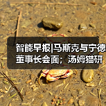 智能早报|马斯克与宁德董事长会面;汤姆猫研发AI交互产品(图3) 智能早报|马斯克与宁德董事长会面;汤姆猫研发AI交互产品(图3)