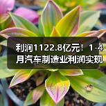 利润1122.8亿元！1-4月汽车制造业利润实现正增长（图3）