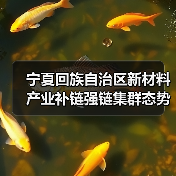 宁夏回族自治区新材料产业补链强链集群态势日益凸显(图4) 宁夏回族自治区新材料产业补链强链集群态势日益凸显(图4)