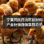 宁夏回族自治区新材料产业补链强链集群态势日益凸显(图1) 宁夏回族自治区新材料产业补链强链集群态势日益凸显(图1)