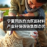 宁夏回族自治区新材料产业补链强链集群态势日益凸显(图2) 宁夏回族自治区新材料产业补链强链集群态势日益凸显(图2)