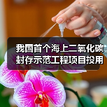 我国首个海上二氧化碳封存示范工程项目投用(图4) 我国首个海上二氧化碳封存示范工程项目投用(图4)