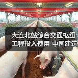 大连北站综合交通枢纽工程投入使用 中国建筑承建(图3) 大连北站综合交通枢纽工程投入使用 中国建筑承建(图3)
