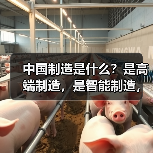 中国制造是什么?是高端制造,是智能制造,更是...(图4) 中国制造是什么?是高端制造,是智能制造,更是...(图4)