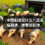 中国制造是什么?是高端制造,是智能制造,更是...(图3) 中国制造是什么?是高端制造,是智能制造,更是...(图3)