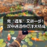 离“通车”又进一步!深中通道伶仃洋大桥成功合龙(图2) 离“通车”又进一步!深中通道伶仃洋大桥成功合龙(图2)