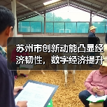 苏州市创新动能凸显经济韧性，数字经济提升市场活力（图1）