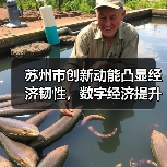 苏州市创新动能凸显经济韧性，数字经济提升市场活力（图3）