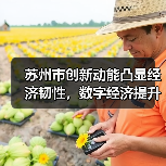 苏州市创新动能凸显经济韧性，数字经济提升市场活力（图2）