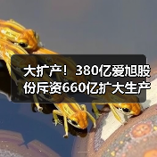 大扩产!380亿爱旭股份斥资660亿扩大生产(图4) 大扩产!380亿爱旭股份斥资660亿扩大生产(图4)