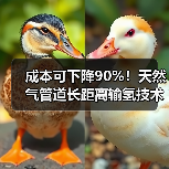 成本可下降90%!天然气管道长距离输氢技术重大突破(图3) 成本可下降90%!天然气管道长距离输氢技术重大突破(图3)