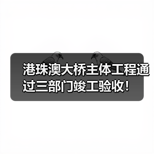 港珠澳大桥主体工程通过三部门竣工验收!(图3) 港珠澳大桥主体工程通过三部门竣工验收!(图3)