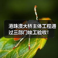 港珠澳大桥主体工程通过三部门竣工验收!(图1) 港珠澳大桥主体工程通过三部门竣工验收!(图1)