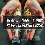 智能化“带头”!我国煤炭行业高质量发展迈上新台阶(图3) 智能化“带头”!我国煤炭行业高质量发展迈上新台阶(图3)