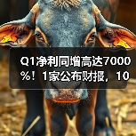 Q1净利同增高达7000%！1家公布财报，10家预告（图2）