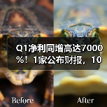 Q1净利同增高达7000%！1家公布财报，10家预告（图4）