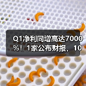 Q1净利同增高达7000%！1家公布财报，10家预告（图3）