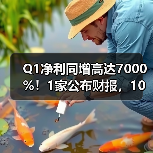 Q1净利同增高达7000%！1家公布财报，10家预告（图1）