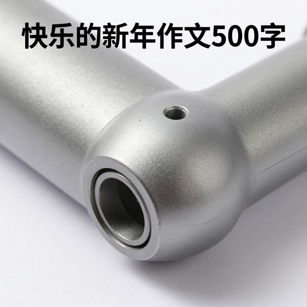 快乐的新年作文500字 快乐的新年作文500字第二张图