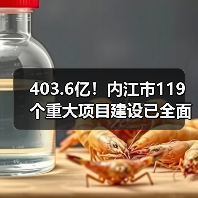 403.6亿！内江市119个重大项目建设已全面开启（图4）