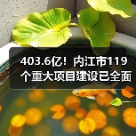 403.6亿！内江市119个重大项目建设已全面开启（图3）