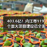 403.6亿！内江市119个重大项目建设已全面开启（图2）