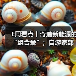 E周看点丨奇瑞新能源的“组合拳”；自游家部分服务停止